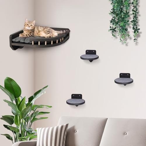 Kletterwand Katzen mit Katzenbett und 3X Katzentreppe Wand [Birkenholz] I Kratzbaum Wand I Hängematte Katze I Katzenwand I Wandkratzbaum I Katzen Kletterwand | Katzenmöbel (4-teilig)