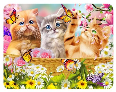 3D LiveLife Magnet - Kitten Fun Time from Deluxebase. Lenticular 3D Cat Fridge Magnet. Magnetic decor for kids and adults with artwork licensed from renowned artist, Michael Searle