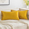 MIULEE 2er Set Samt Kissenbezug Flansch Kissenhülle Dekorative Sofakissen Dekokissen Umwickelte Kante Kissenbezüge Zierkissenbezug für Sofa Wohnzimmer Schlafzimmer 40x60 cm Golden Luxuriös
