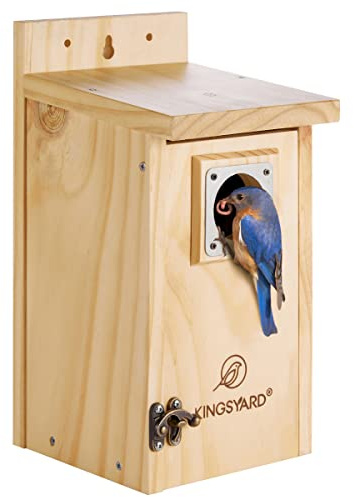 Kingsyard Blaues Vogelhaus für draußen - Klassisches Holz-Vogelhaus mit Raubtierschutz für Blaukehlchen, Haubenmeisen, Meisen und nistende Vögel, Holz