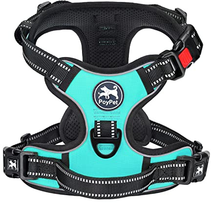 PoyPet Dog Harness Large, No Pull with Front Clip & Neck Release Buckle | No Choke, Lockable, 2 D-rings, Adjustable Vest, Reflective, Oxford, Soft Padded Handle for Walking Training, L, Mint Blue
