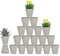 vensovo 7.6CM Grey Terracotta Pots with Drainage - 20 Pack Clay Flower Pots, Succulent Nursery Pots Great for Plants, Crafts, Wedding Favor