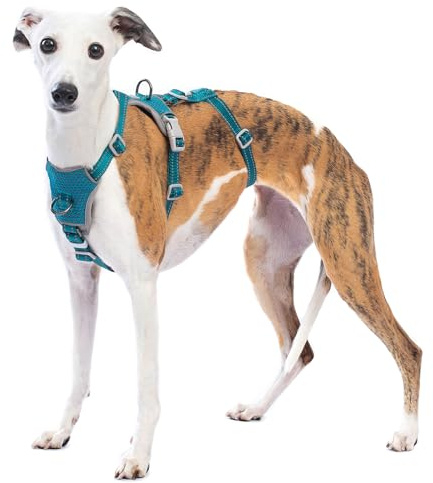 Huntboo Sicherheitsgeschirr Hund Ausbruchsicher, Panikgeschirr für Hunde, Anti Zug Hundegeschirr, Reflektierend, Verstellbare, Leichte Weste für kleine, mittelgroße und große Haustiere (Blau,L)