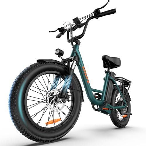 URLIFE Electric Bike for Adults, 20 x 3.0 Fat Tire Electric Bicycle with Colorful Display, 250W Motor Ebike, 48V 13Ah Removable Battery, 100 KM Max, All-Terrain E-Bike for Adults and Teens (GREEN)