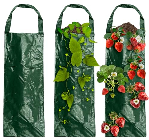 BLLREMIPSUR 3Pcs Hanging Planter Grow Bags, Flower Strawberry Planting Bags, Multifunction Vegetable Flower Strawberry Herbs Plant Grow Bag for Vertical Gardening