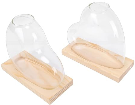 MENDUNER Jardinière Hydroponique de Bureau, Vases de Propagation en Verre élégants pour Plantes D'intérieur, Paquet de 2, Idéal pour Balcon, Rebord de Fenêtre (Brun Clair)