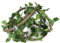 Marooma Kit de Branches d'escalade pour Reptiles, Vignes Flexibles en Rotin de Jungle de 9,84 Pieds pour Décoration de Terrarium, Plantes de Reptiles, Décoration de Terrarium, Peau de Gecko(1#)
