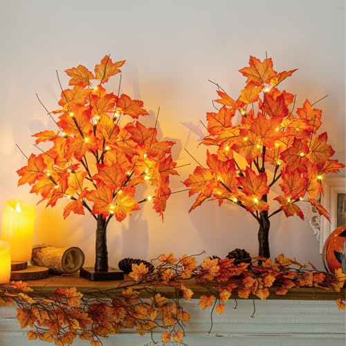 DELICHTER 2er Set Herbstdeko mit 24 Warmweißen LEDs Batteriebetrieben Herbst Deko mit Timer Ahornbaum mit 24 Ahornblätter Herbstbaum Lichterbaum für Erntedankfest Tischdekoration 55 cm