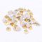 Push Pins Reißzwecken Pinnnadeln Karte Reißzwecken Reißzwecken mit Kunststoffköpfen und Stahlspitzen für Korktafel dekorative Pinnwand Büro Karte 100 Stück (weiß, 10 x 10 mm)