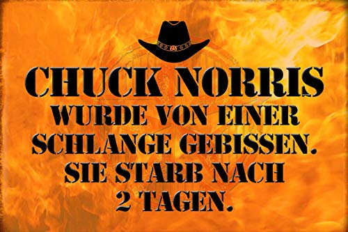 Schatzmix Spruch Chuck Norris Schlange gebissen Metallschild 20x30 tin Sign Blechschild, Blech, Mehrfarbig, 20x30 cm