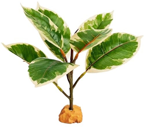 Woyrise Reptilien-Kunstpflanzen, Terrarium-Dekorationen, gefälschte Pflanze mit Sockel, Reptilien-Amphibien-Tankzubehör, Lebensraum-Dekor-Pflanze – Fake Ficus Microcarpa