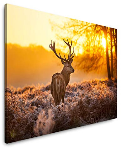 Paul Sinus Art Hirsch im Wald 120x 80cm Inspirierende Fotokunst in Museums-Qualität für Ihr Zuhause als Wandbild auf Leinwand in
