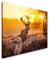 Paul Sinus Art Hirsch im Wald 120x 80cm Inspirierende Fotokunst in Museums-Qualität für Ihr Zuhause als Wandbild auf Leinwand in