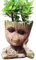 Youfui Funny Planter Head Planter with Drainage Hole Resin Plant Pot Pencil Holder Desk Storage(Fun Tree B)…