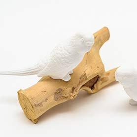 Colour-up Janik Wellensittich Porzellanvogel weiß - O Living