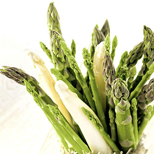 20 Lunch Servietten Spargel Spargelzeit 33 cm