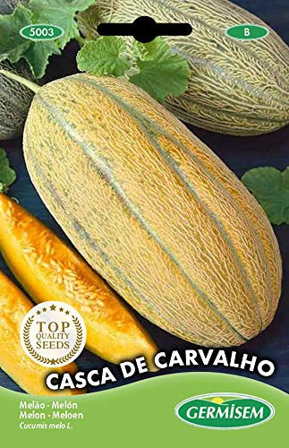 Germisem Melone CASCA DE CARVALHO, EC5003, mehrfarbig
