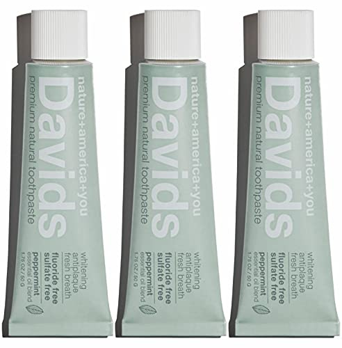 Davids Natural Whitening Travel Toothpaste, Antiplaque, Fluoride Free, Peppermint, 1.75 OZ, TSA Approved Travel Size (3 Pack)