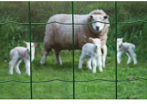 Hundezaun Garten Sichtschutz Zaun Wühlmausgitter Begrenzungszaun Für Hunde - Maschendraht Rechteckig 0,6x10 m Kunststoffbeschichteter Stahl für Camping Höfe Garten Bauernhof