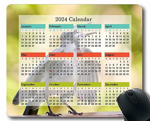 YENDOSTEEN 2026 Mouse pad Calendar with Holidays,Heterochromia Different Eyes Color Light Cat Mouse Mat for Office Computers Laptop Men Women