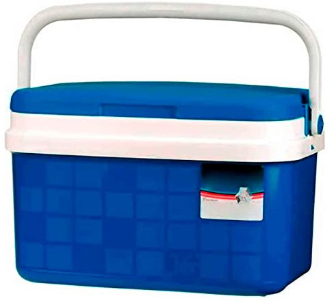 AC - Nevera portatil con Asas, Fabricado en Polipropileno Resistente, Ideal para Playa o acampadas, Porta Alimentos, Capacidad de 16L (25 x 41 x 28 cm).