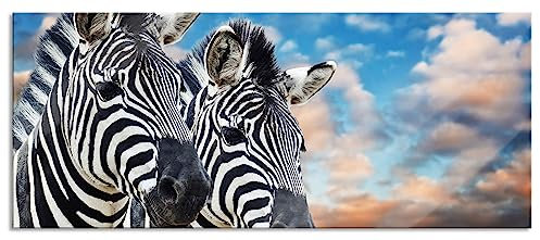 Pixxprint Glasbild Panorama, Wandbild aus Echtglas, Zebra Pärchen, 100x40 cm, inkl. Aufhängung und Abstandshalter