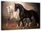 ZHONGYUTONG Schwarz Weiß Pferd Wand Kunstdruck Tier Leinwand Gemälde Poster Bild Wanddekoration Wohnzimmer Moderne Heimdekoration (Rahmen, 60x90cm)
