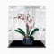 Clear Acrylic Display Box, Compatible with Lego 10311 Orchids Model, Dustproof Display Gifts, Protect Decorations, Collectibles, Storage Organizer (Box Only) (2mm)