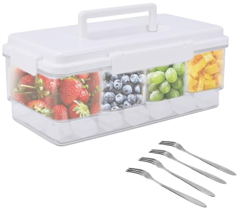 ZoeQide Tragbarer Snackbehälter mit Eispack 4‑Fächer Snackbox mit Kühlakku Kunststoffbox mit Deckel Griff und Silikondichtung, Snack Container mit Kühlfunktion für Picknick Reise Outdoor Partys Weiß
