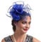 Women Fascinators Hat Organza Flower Feather Fascinators Wedding Fascinators Tea Party Hat Flapper Pillbox Fascinator Hat Derby Ascot Hat with Headband Hairclips Headdress Headpieces Royal Blue