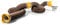 Camco 39634 6m Swivel, Brown, 20' Sewer Hose Kit