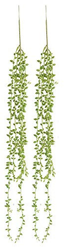TIREOW 2 Stück 78CM Künstliche Sukkulenten Pflanzen Kaktus Saiten von Perlen Pflanzen Senecio Hängende Pflanzen für Balkon Hochzeit Dekoration
