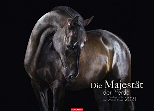 Die Majestät der Pferde - Kalender 2021- Weingarten-Verlag - Wandkalender mit atemberaubenden Fotos - 67,8 cm x 48,8 cm