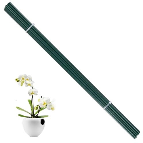 Pflanzenstützen Pflanzen Rankhilfe 20 Stück Grüne Pflanzstäbe Metall Blumenstütze Tomatenstangen Pflanzenhalter Gartenpfähle für Kletterpflanze Zimmerpflanzen Orchideen,40CM
