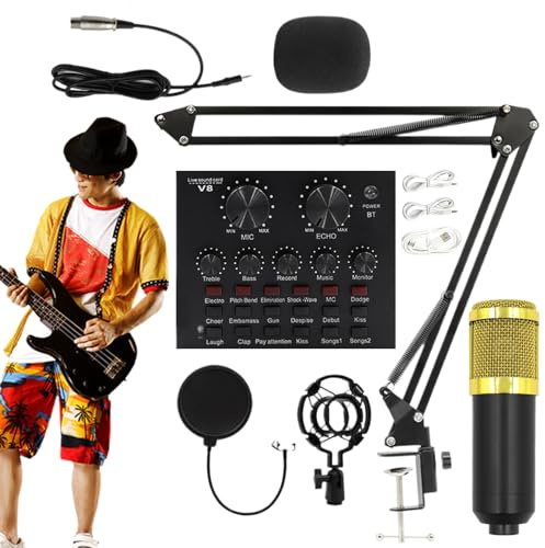 Microphone à condensateur BM800 - Kit d'enregistrement de studio Microphone, capture audio de diffusion | Ensemble d'équipement de streaming professionnel, paquet de configuration domestique p