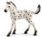 schleich 17076 Knabstrupper Fohlen, ab 5 Jahren, Horse Club - Spielfigur, 3 x 9 x 8 cm