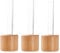 Baoblaze de 3 Maceteros Magnéticos para Nevera Amantes de Las Plantas de Madera