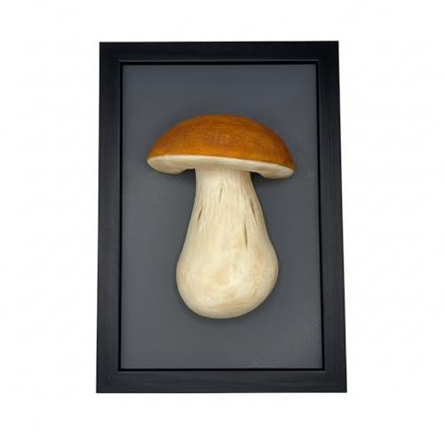 Danevos - 3D Steinpilz Wanddeko im Holzrahmen – Handbemalte Pilzskulptur, 10x15 cm, zum Aufstellen oder Aufhängen