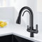 JUNSHENG Rubinetto Cucina 3 Vie Rubinetto Lavello Cucina Con Filtro Per L'acqua Acqua Rubinetto da Cucina 3 in 1 Con Doccetta Estraibile,Colore Nero, Oro…