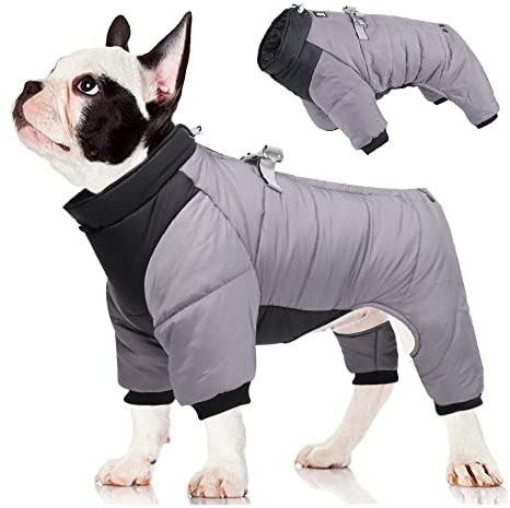 FEimaX Hundemantel Wasserdicht Warm Winterjacke für Kleine Mittlere Hunde Welpen Mantel Haustier Kleidung Reflektierende Winter Weste Jacke Hundepullover mit D-Rings