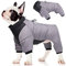 FEimaX Hundemantel Wasserdicht Warm Winterjacke für Kleine Mittlere Hunde Welpen Mantel Haustier Kleidung Reflektierende Winter Weste Jacke Hundepullover mit D-Rings