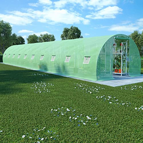 Tidyard Serra Verde,Serre,Serra da Giardino per Piante,Serra per Orto, Piante, Verdura,Serra da Balcone,Serra da Giardino a Tunnel,Serre Tunnel in PE 45 m² 15x3x2 m