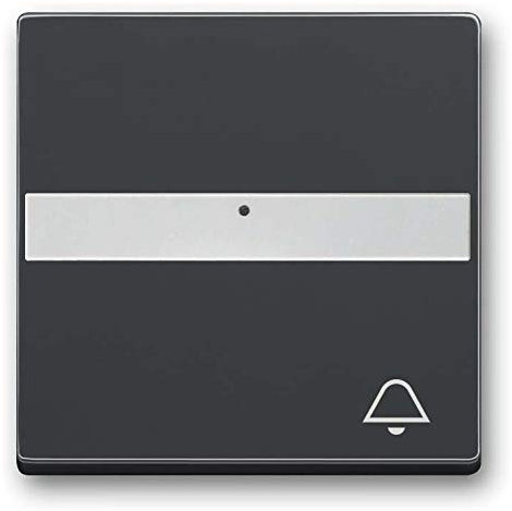 Busch-Jaeger 1764 NLI/KI-81 Wippe mit Beschriftungsfeld, future linear, anthrazit (2CKA001731A3998)