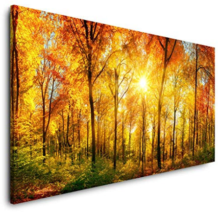 Waldpanorama mit Sonne Tag im Herbst 120x 60cm Panorama Leinwand Bild XXL Format Wandbilder Wohnzimmer Wohnung Deko Kunstdrucke