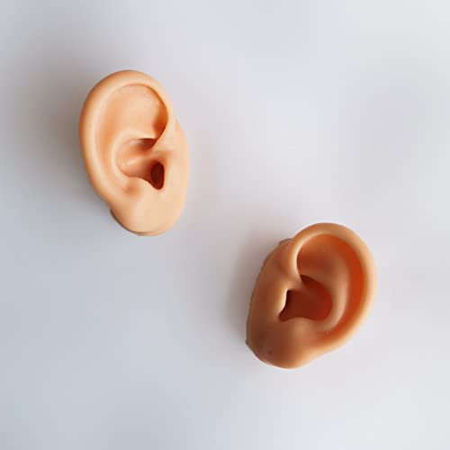 Modelo de oído humano, 1 par de modelos de oído de silicona altamente simulados, para entrenamiento de práctica de acupuntura, pendientes, accesorios de visualización de auriculares