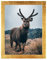 Rahmendesign24 Posterrahmen Milano 59,4x84 (DIN A1) Blattgold Gold Fotorahmen, Wechselrahmen, Bilderrahmen, Puzzlerahmen