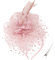 DRESHOW Fascinators Hut Feder Stirnband Damen Fascinators Tee Party Kopfbedeckung mit Clip Blume Stirnband für Mädchen & Damen