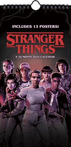 2025 Netflix Stranger Things Mini Poster Calendar