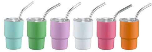 Luejnbogty Mini Tumbler Shot Glass with Straw Sublimation Double Layer Metal Cute Shot Glasses Set 3oz with Lids Easy Install