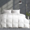 APSMILE Bettdecke 135x200 Sommer Baumwolle mit 50% Daunen 50% Federn - Leichte Sommerdecke Daunendecke 135x200 - Summer Duvet - Dünne Federbettdecke with RDS Zertifiziert für Tierwohl